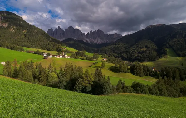 Greens, field, forest, summer, grass, clouds, mountains, clouds
