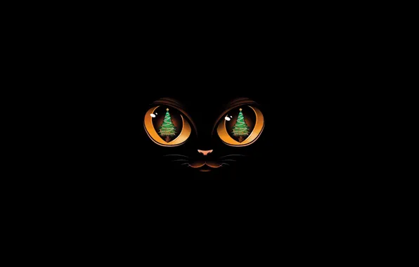 Eyes, cat, lights, mood, holiday, magic, tale, art