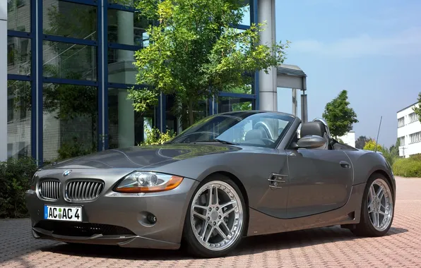 Picture BMW, sport, auto, roadster