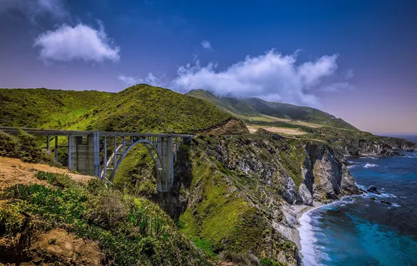 Picture bridge, the ocean, coast, USA