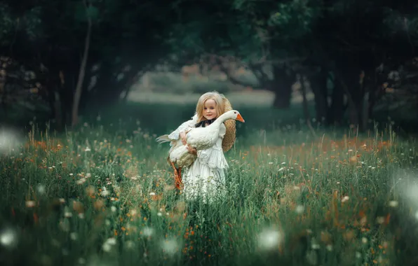 Nature, bird, girl, baby, goose