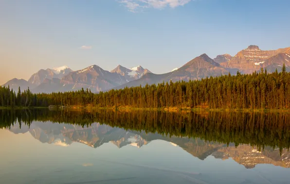 Forest, the sky, the sun, clouds, trees, mountains, lake, reflection