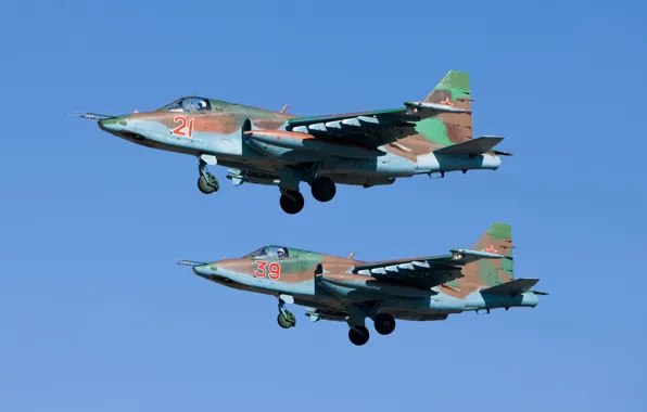 Pair, flight, attack, subsonic, armored, &ampquot;rook&ampquot;, Sukhoi Су-25