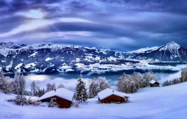 Winter, snow, trees, mountains, lake, Switzerland, village, houses