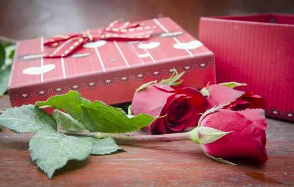 Flowers, gift, roses, pink, flowers, romantic, gift, roses