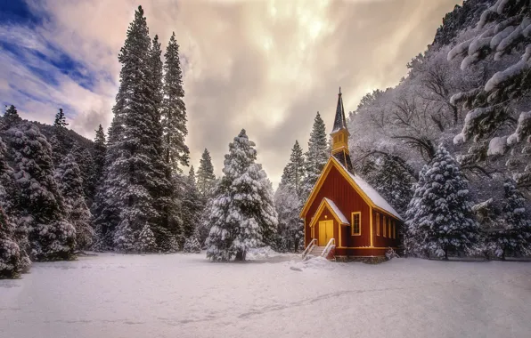 Winter, forest, snow, nature, Church