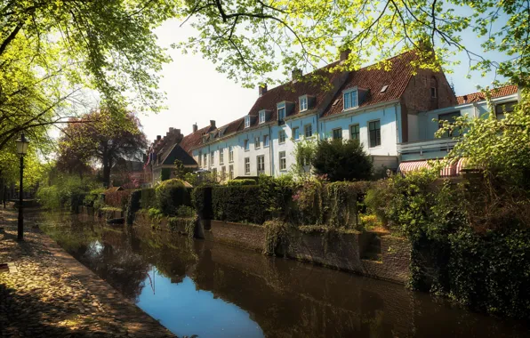 Trees, home, Netherlands, water channel, Amersfoort