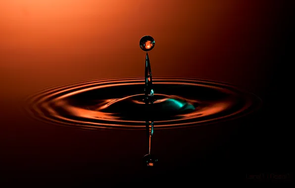 Picture color, water, macro, drop