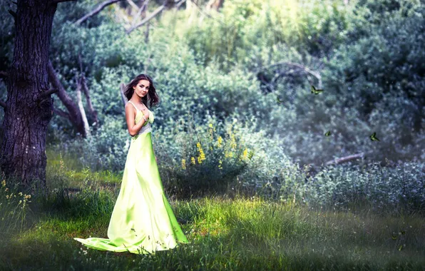 Picture forest, dress, Naira