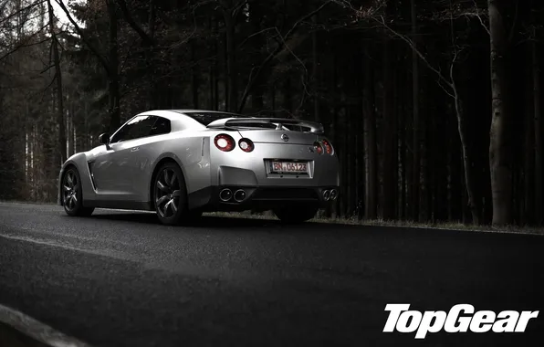 Picture road, forest, silver, nissan, GTR, supercar, rear view, Nissan