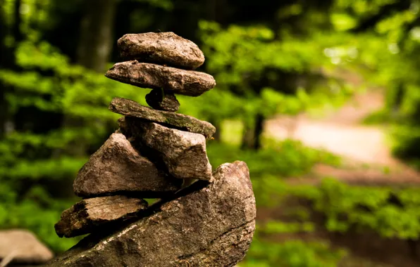 Green, Summer, Rocks, Stones, Woods, Black Forest, Artificial