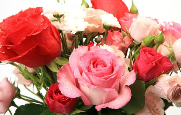 Picture flowers, beautiful, flowers, beautiful, Bouquet of roses, Bouquet of roses