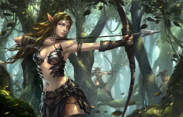 Picture forest, armor, shooting, elf, warrior, clearance, determination, Fantasy art