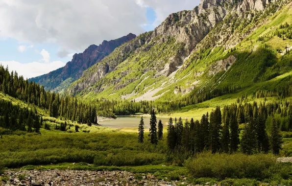 Ate, mountains, forest, slope