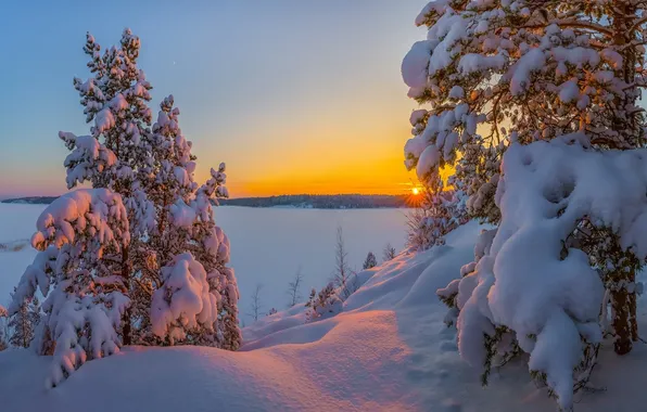 Winter, rays, snow, trees, sunset, Nevada, Lake Tahoe