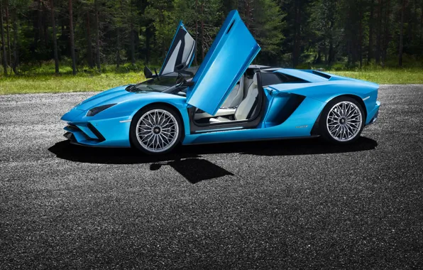 Picture Lamborghini, the door, supercar, 2017, Aventador S
