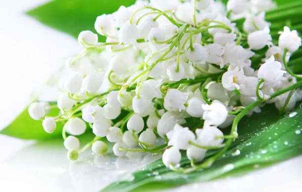 Drops, flowers, Rosa, bouquet, spring, white, lilies of the valley, Lily of the valley
