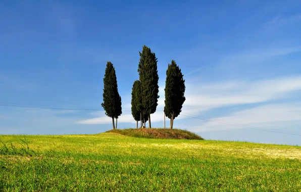 The sky, grass, trees, hills, Italy, Tuscany, San Quirico d'orcia