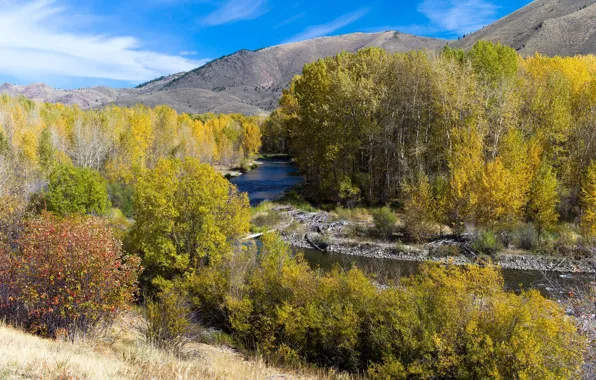 Autumn, landscape, nature, river, beauty, space