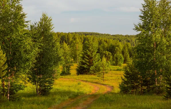 Picture road, field, forest, the sky, clouds, trees, landscape, nature