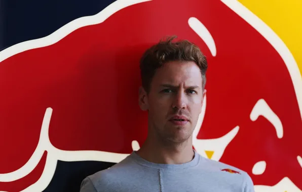 Picture Racer, Sebastian Vettel, Champion