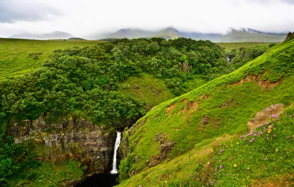 Greens, field, trees, flowers, mountains, fog, open, rocks