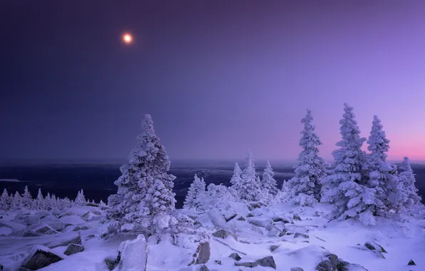 Winter, snow, trees, the moon, Russia, Ural, Chelyabinsk oblast, The Ridge Urenga