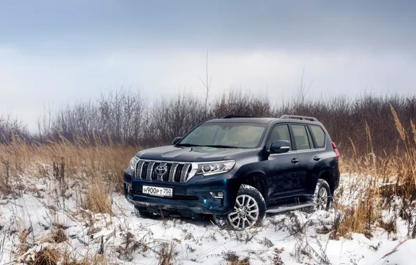 Picture Toyota, Prado, testdrive, 2019