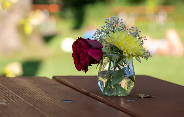 Flowers, table, rose, bouquet, red, Dahlia, yellow