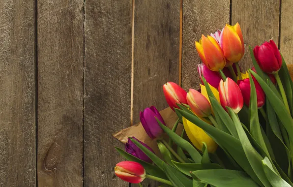 Picture flowers, bright, bouquet, spring, colorful, tulips, fresh, wood