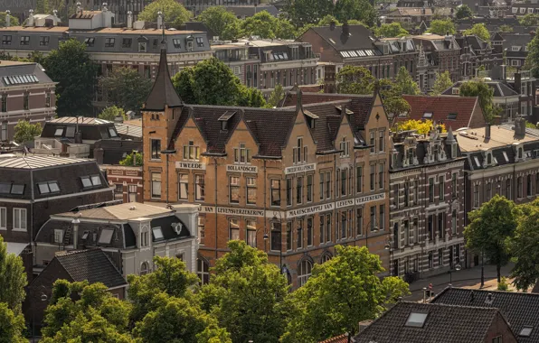 Street, building, Amsterdam, Netherlands
