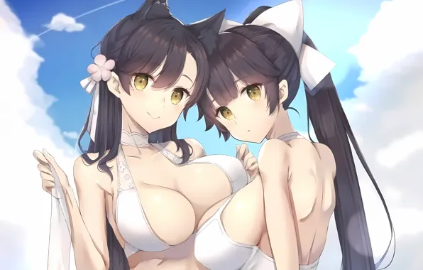 Sexy, cleavage, sky, long hair, girls, boobs, animal ears, anime