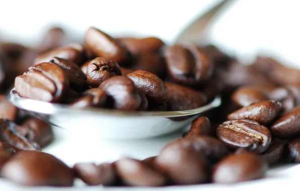 White, macro, photo, background, coffee, grain, light, spoon