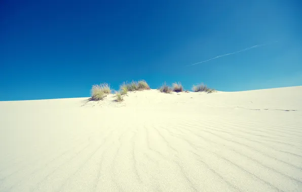 Sand, the sky, grass, light, landscape, nature, desert, light