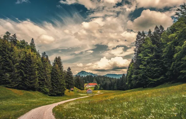 Road, grass, clouds, trees, flowers, mountains, home, tower