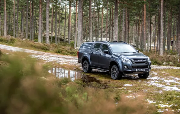 Picture forest, vegetation, puddle, pickup, 2018, Isuzu, Huntsman, D-Max