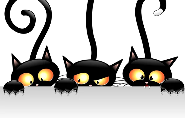 Picture cats, vector, black, views, tails