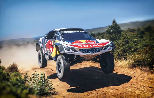 Auto, Machine, Speed, Peugeot, Lights, Red Bull, Rally, Dakar