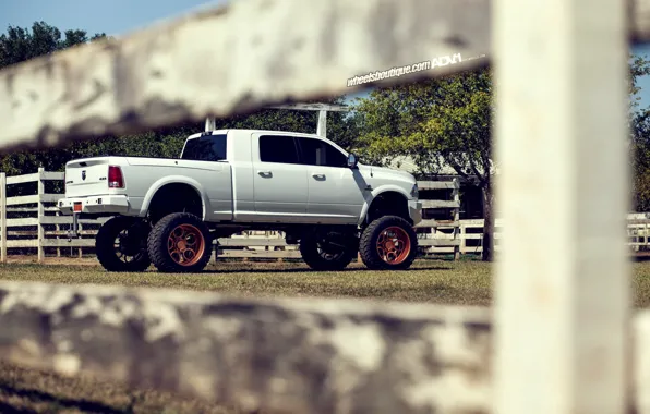 Wallpaper Dodge, Tuning, Ram, ADV1, OFF-ROAD images for desktop ...