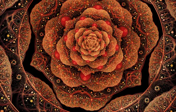 Flower, patterns, petals, art, fractal