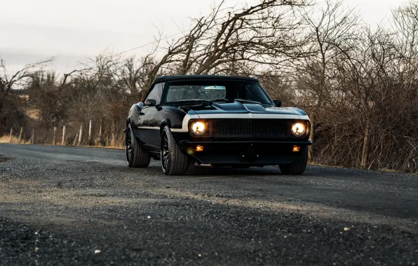 Style, camaro, chevrolet, the front