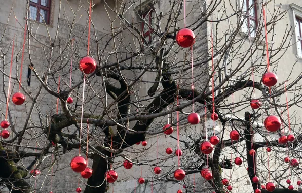 Tree, holiday, toys