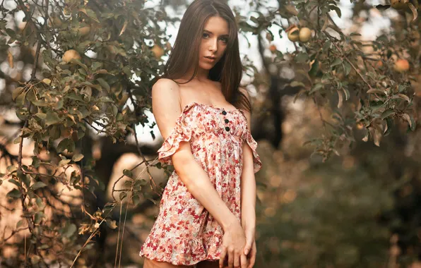 Apples, Girl, dress, Oleg Kovalenko
