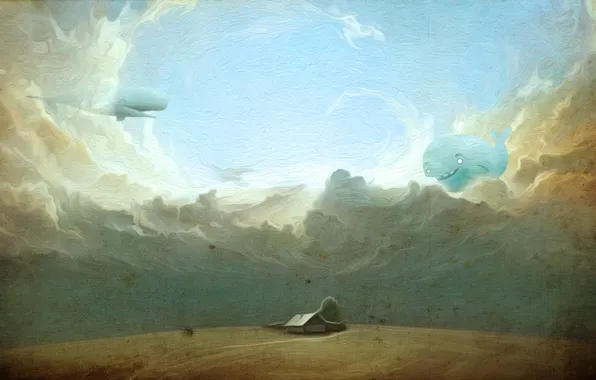 The sky, landscape, whales