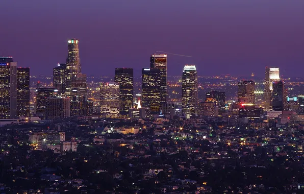 Trees, night, skyscrapers, horizon, Los Angeles, Los Angeles, long exposure
