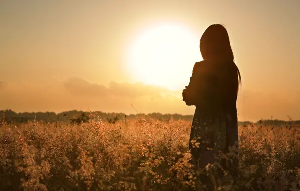 Field, flower, girl, the sun, sunset, flowers, loneliness, background