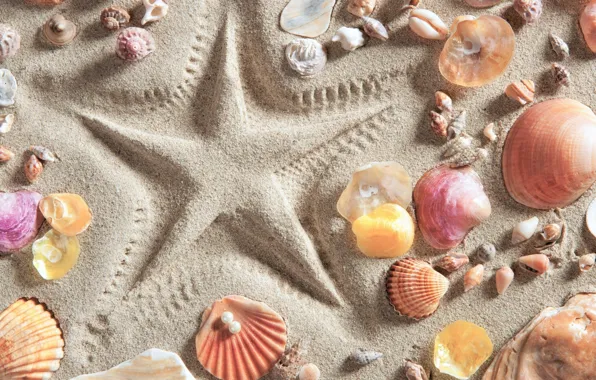 Sand, beach, background, star, shell, summer, beach, background