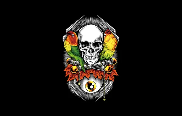 Color, Minimalism, Dove, Skull, Style, Background, Art, Art