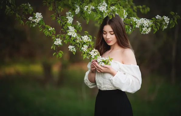 Girl, branches, pose, spring, hands, blouse, flowering, shoulder