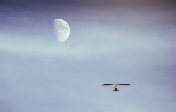 Picture the sky, flight, the moon, on the moon, tricycle, hang gliding